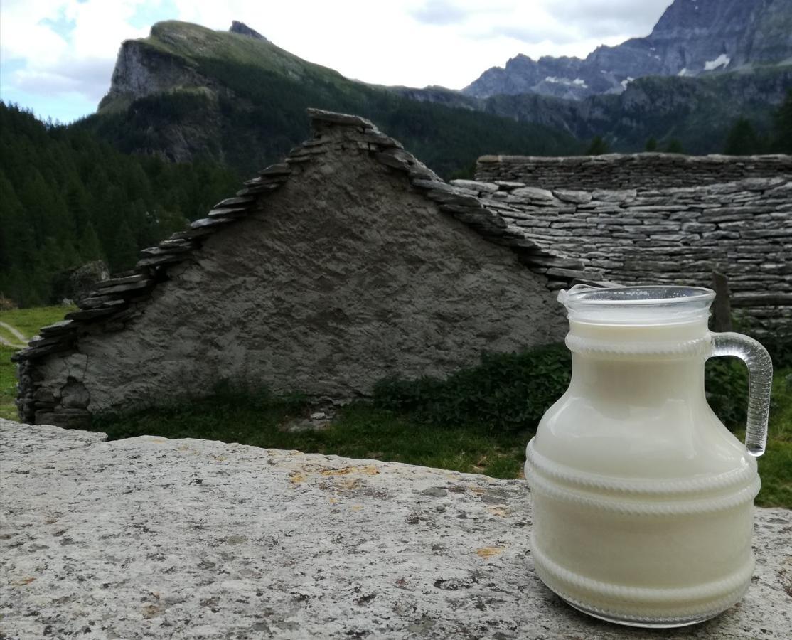 Hotel Voglia Di Veglia Varzo Zewnętrze zdjęcie
