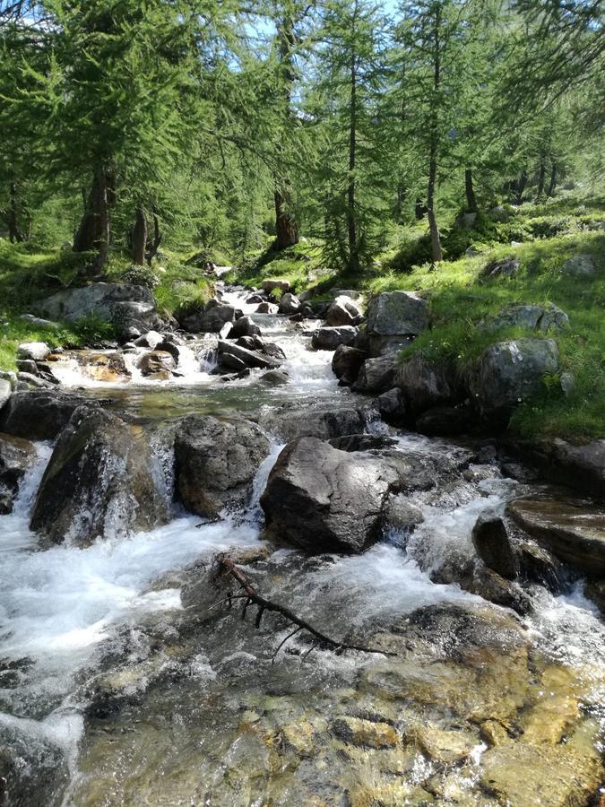 Hotel Voglia Di Veglia Varzo Zewnętrze zdjęcie