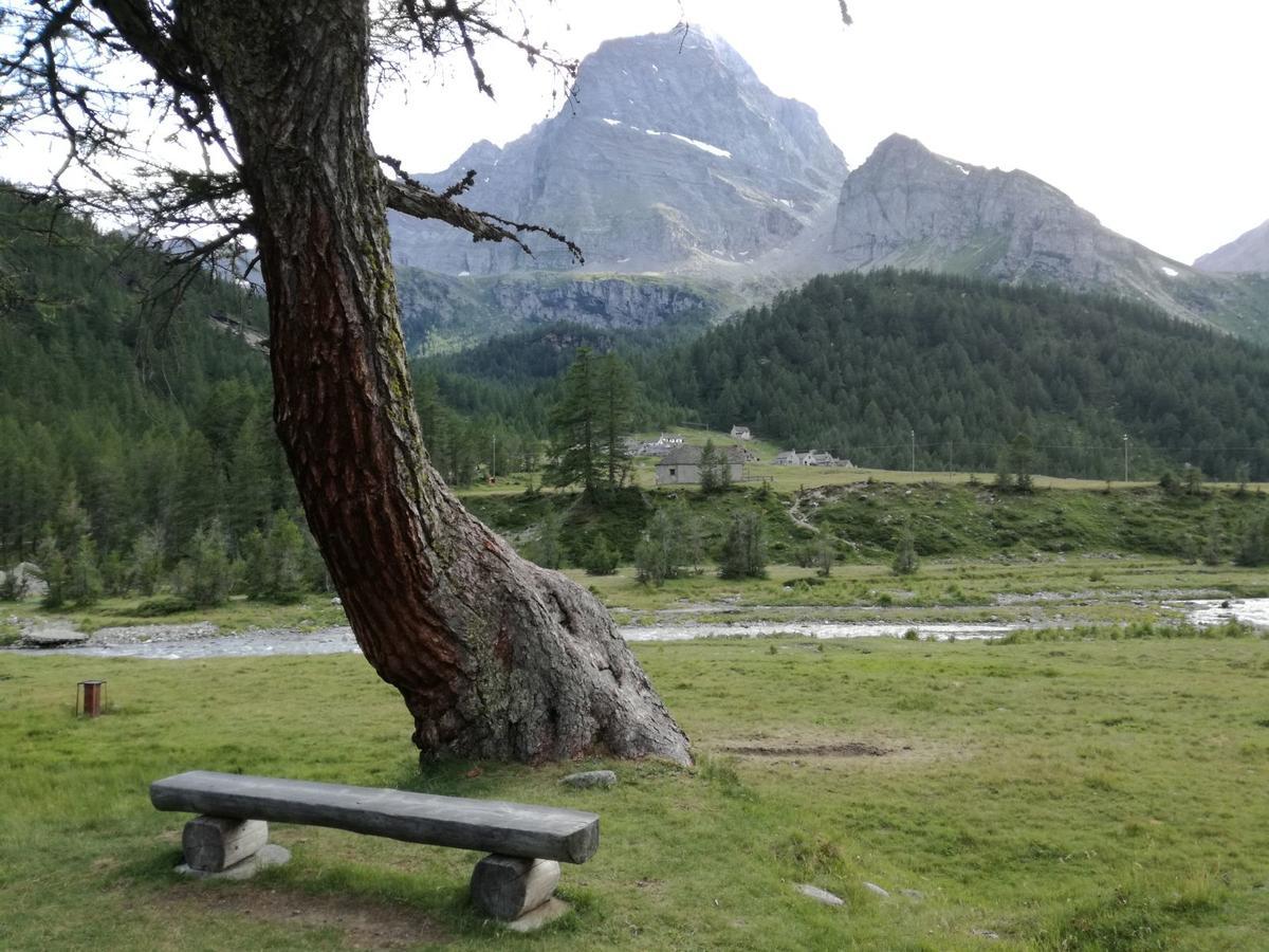 Hotel Voglia Di Veglia Varzo Zewnętrze zdjęcie